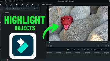 How to Highlight An Object in Filmora 13