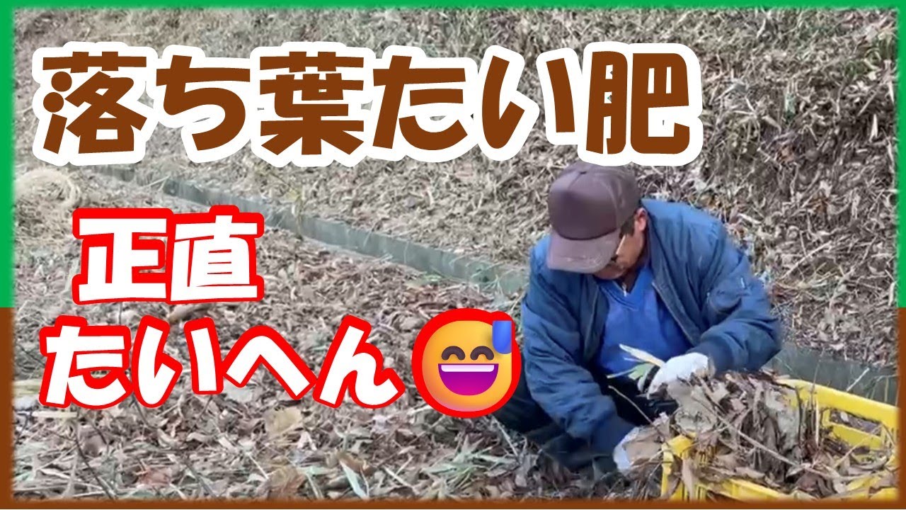 落ち葉たい肥は作るのたいへん！