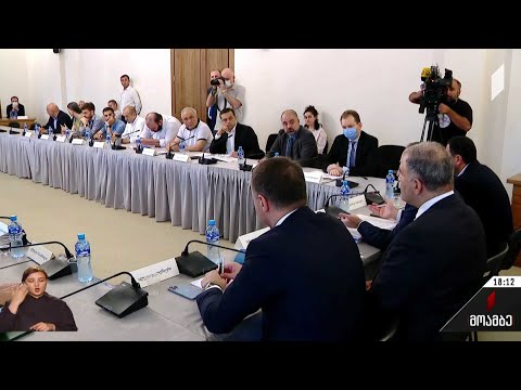 12-პუნქტიანი რეკომენდაციების შესრულების გეგმა