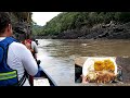 pesca y cocina en el Raudal del rio guayabero, pesca de pirañas cierra payarin y mucho más