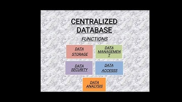 Centralized Database (Definition, Function, Examples, Advantages, and Disadvantages)