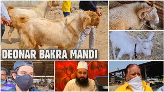 Deonar Bakra Mandi Feb 23, 2021 | World's Biggest Goat Market & Aqiqah Details