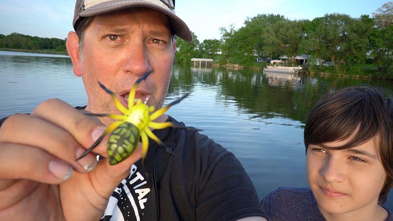 The SPIDER LURE catches FISH! (UNBELIEVABLE) 