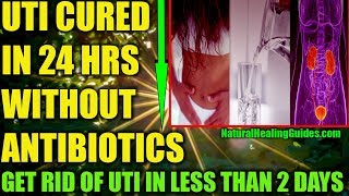 Uti Treatment Without Antibiotics: How To Cure UTI At Home Naturally | Instant UTI Relief Remedies