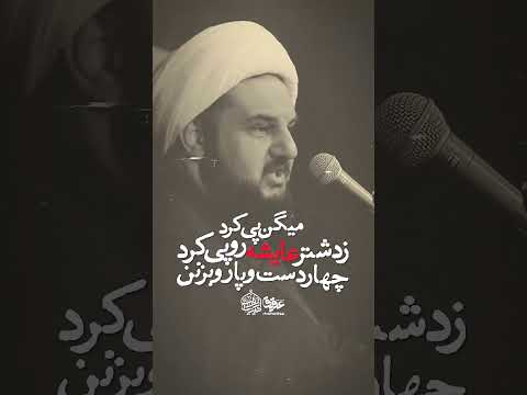 امام حسن فاتح جنگ جمل