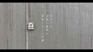 お米が育つまで [2025年 田植え～稲刈り] 米作り 田植えから稲刈りまで 2025