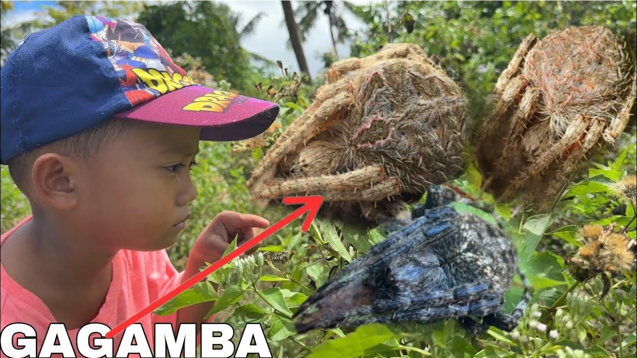 SOBRANG DALI LANG MAKAKITA NG GAGAMBA ANG BATA NATO