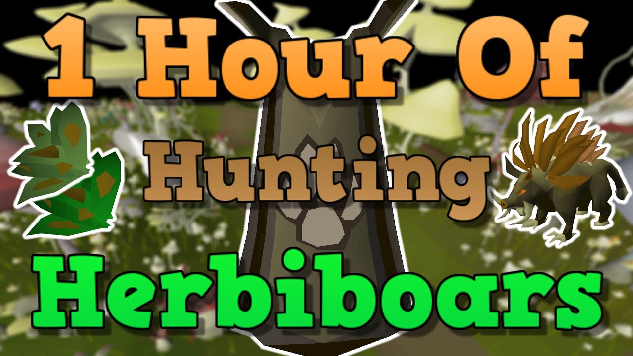 images Herbiboar Guide Osrs 2020 youtube