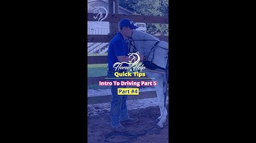 Intro To Driving Part 5! Part 4! | The Horse Guru-Michael Gascon