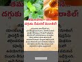 తమలపాకు + తేనె… దగ్గుకు నేచురల్ మిరాకిల్ #factstorytelugu #coughrelief #healthtips