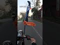 Hola Mohalla2k26❤️#viral #shorts #viralshorts