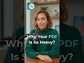 Why Your PDF Is So Heavy...
