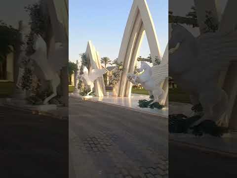 قاعة حفلات على جزيرة المعادي النيل