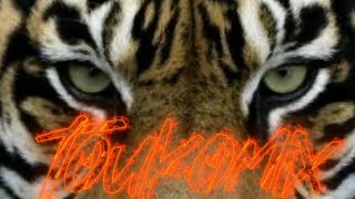 Eye Of The Tiger - First Touch Feat Mark Picchiotti (Mashup Remix By TOUKOMIX)