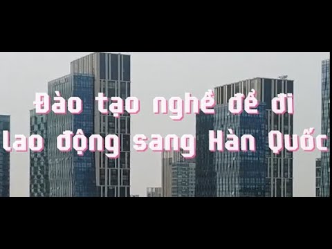 Tổng hợp 8 công ty xuất khẩu lao động Tốt nhất tỉnh Cà Mau (Bạc Liêu) [Cập nhật 2025]