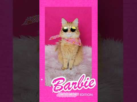Limited Edition Meow Barbie. #cat  #shorts