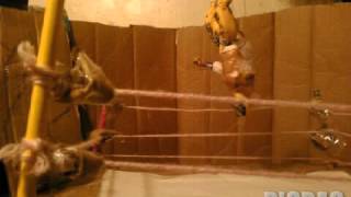 Wwe stop motion test #11
