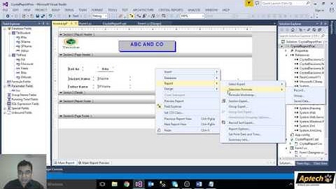 Win Form Parameter in Crystal Reports