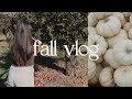 Autumn vlog apple picking farmers market fall aesthetic  brittany lopez