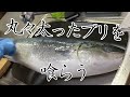 【魚ひろば】11kgブリ購入!!捌いて刺身でいただきます!!