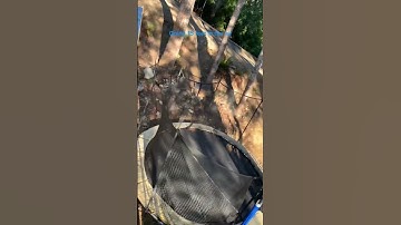 #rap #music #hiphop #automobile #funny #pop #poppingwaterballoonathome #funkmusic #flip