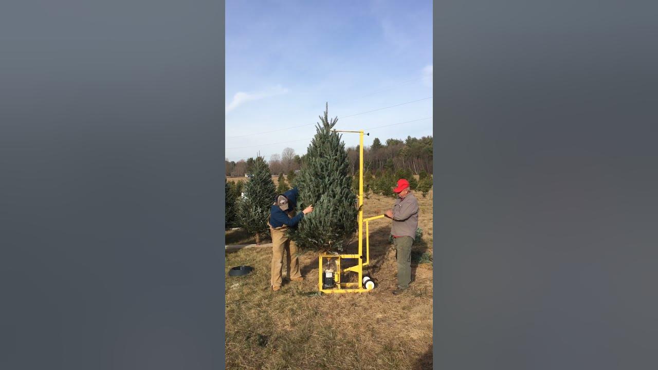 Stand Strait Christmas Tree Drill 