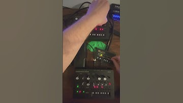 Linked Korg Monotribe into Korg Monotron Delay into Zoom G1X Four May 28th 2024