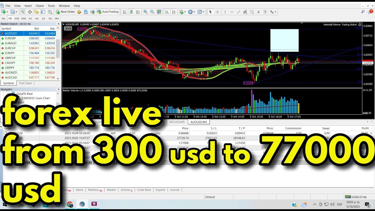 77000 Usd In Eur