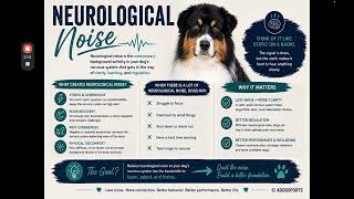 FDSA Webinar Ashley Escobar Move to Improve Reducing Neurological Noise through Fitness