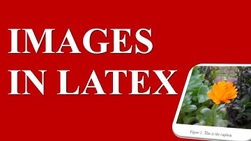 How to add images in Latex