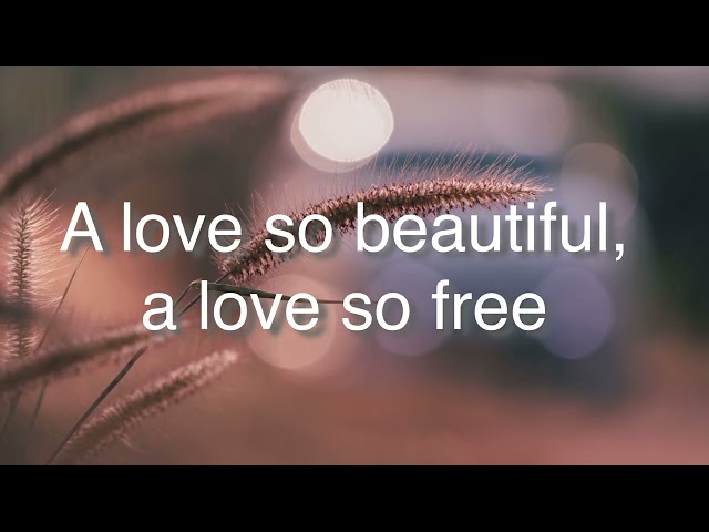 A love so beautiful with lyrics-Michael Bolton #lovesong #michaelbolton class=