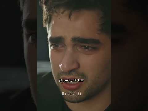 حزن فريد على موت أخوه ومواساة سيران له طائر الرفراف