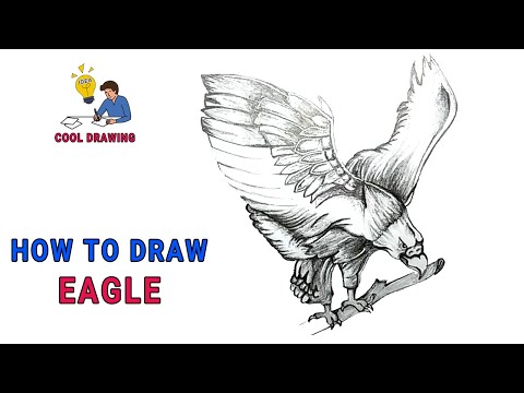 Easy! How to Draw a Bald Eagle Face - PaintingTube