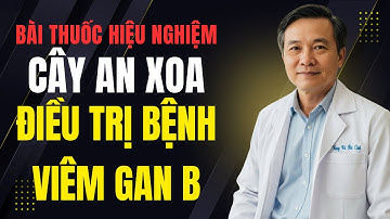 Bài Thuốc Hiệu Nghiệm Từ Cây An Xoa Điều Trị Bệnh Viêm Gan B