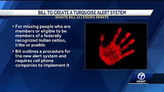 Turquoise Alert Bill passes Senate unanimously