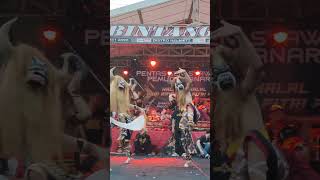 WCB kebo giro warok wahyu cipto budoyo ngencek, kalikuto #shorts #kebogiro
