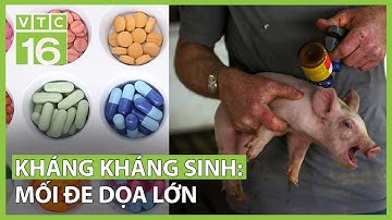 Kháng kháng sinh: Mối đe dọa sức khoẻ và nền kinh tế | VTC16