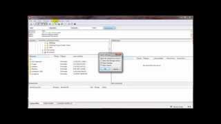 Celebrity Export and Import Filezilla Settings Wealth