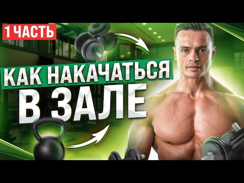 ЧТО ДЕЛАТЬ НОВИЧКУ В ТРЕНАЖЕРНОМ ЗАЛЕ?