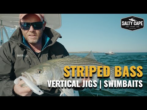 Slow Pitch Striper Jigging Protail Paddles On Herring Salty Cape TV S2025 E2