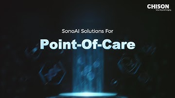 AI That Works Where You Do: SonoAI in POCUS