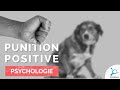Psychologie  punition positive