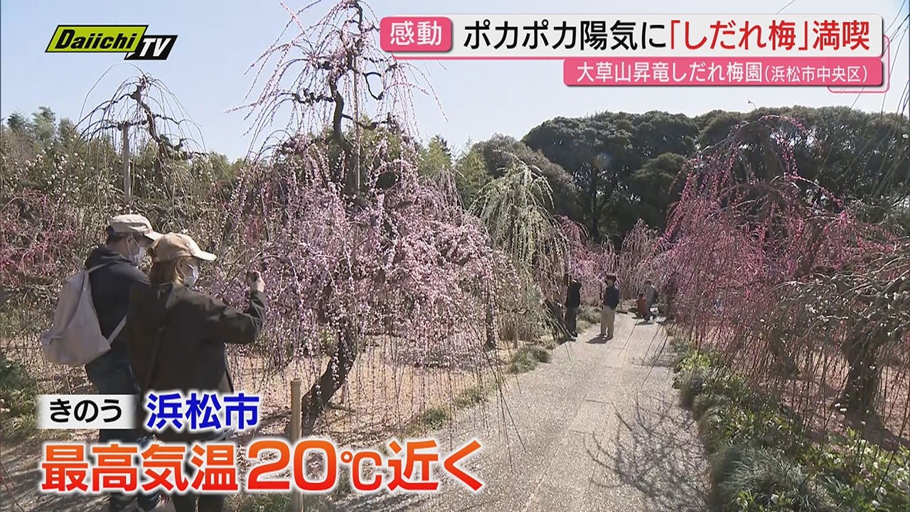 【春めく】月変わりの週末は暖かな陽気となった県内…賑わう行楽地やイベント会場は薄着で楽しむ人も(静岡)