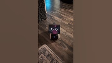 Astro Robot- who am I? #amazon #astro #astrorobot #robot