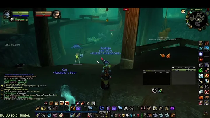 Report:HC multibox on turtle wow