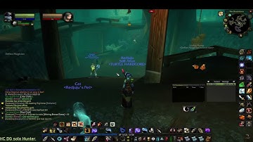 Report:HC multibox on turtle wow