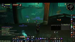 Report:HC multibox on turtle wow