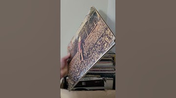 Thumbnail of the allman brothers band Ramblin man #retro #vinyl #record #album