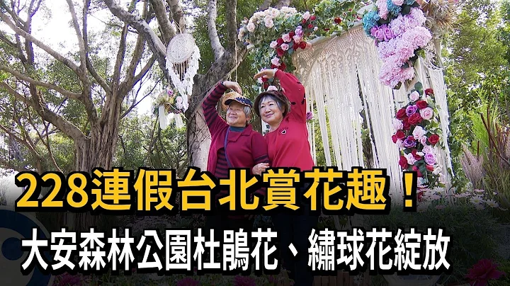 228連假台北賞花趣！　大安森林公園杜鵑花.繡球花綻放－民視新聞 - 天天要聞