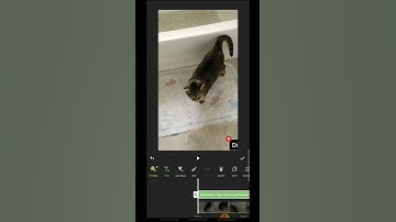 Add Scrolling Text with Inshot App